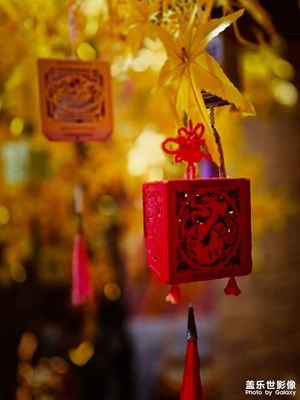 已開獎(jiǎng)【蓋樂世影像周賽第375期】——難忘2024