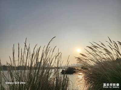 【隨拍分享】幾度夕陽紅