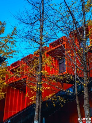 【多元化的世界】年末鏡像