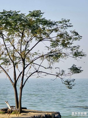 【難忘 2024】太湖初印象