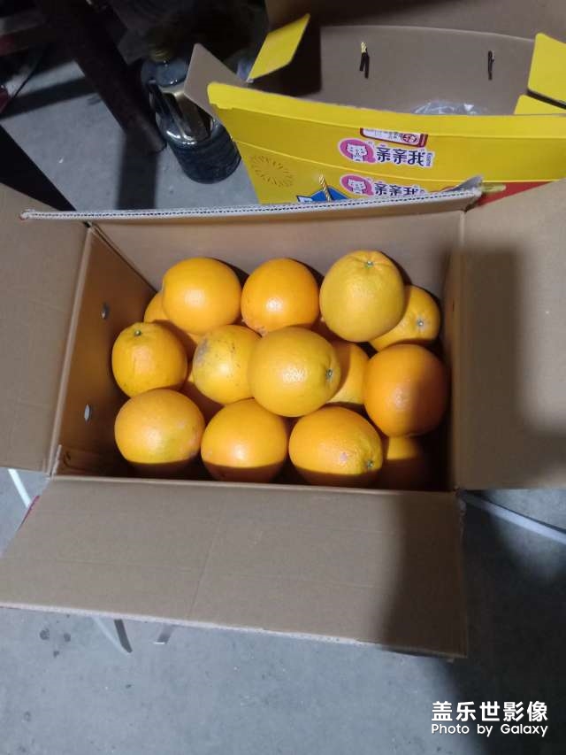 江西贛州橙子