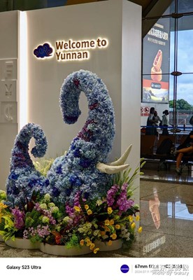 致即將過去的2024《二》