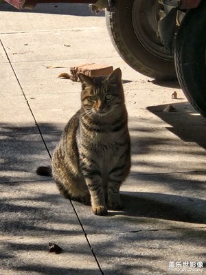 【喜迎雙節(jié)】+快樂生活