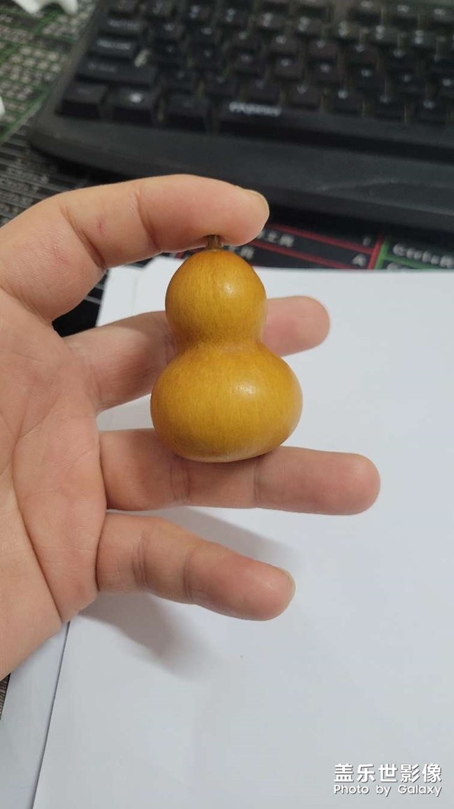 想看每一天的變化，就像養(yǎng)花一樣