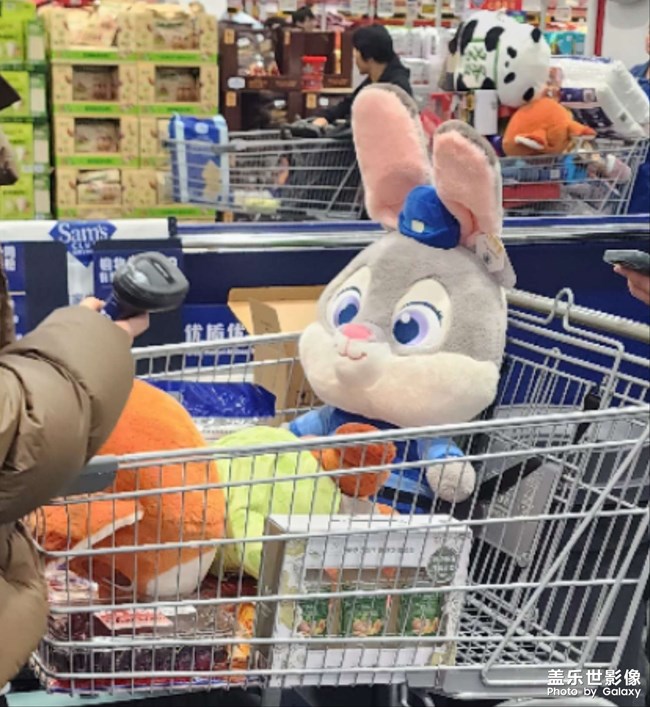 瘋狂動物城玩偶