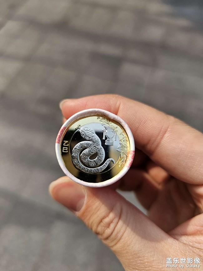 蛇年紀(jì)念幣!??