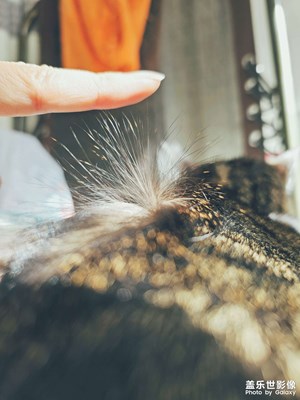 【lucky】炫我嘴里！