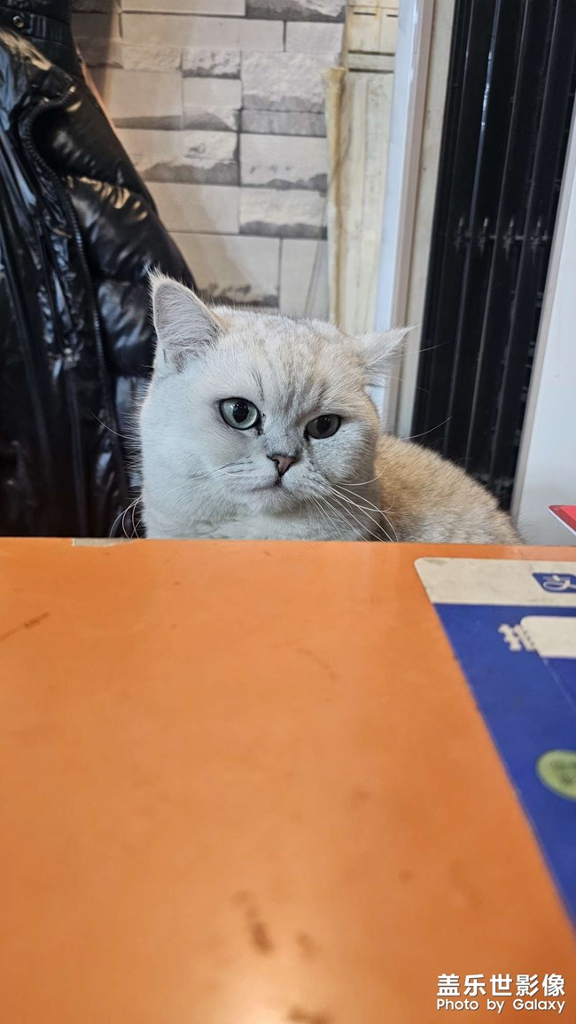 一些拯救世界小伙伴