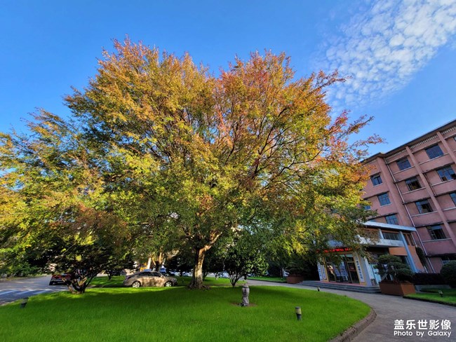 記錄一下公司的院子