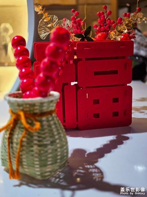 已開獎(jiǎng)【蓋樂世影像周賽第381期】——春節(jié)趣事