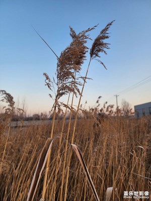 【城市的溫度】+天寒地凍