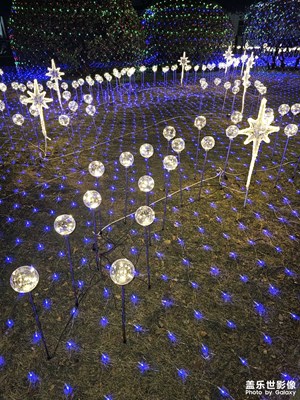 【城市的溫度】+植物與可愛的燈飾