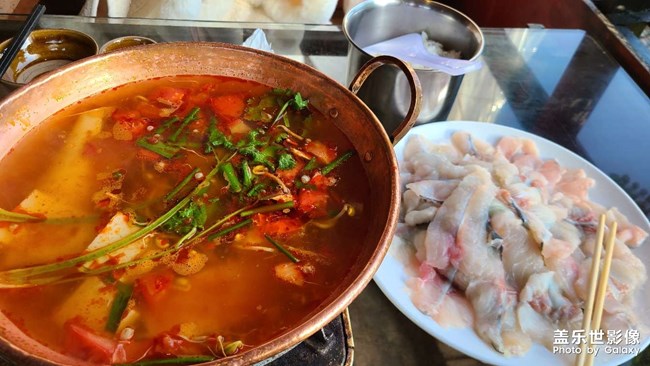 手機里的美食照