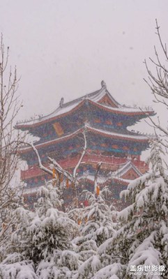 【金蛇轉(zhuǎn)好運(yùn)】2025年初雪