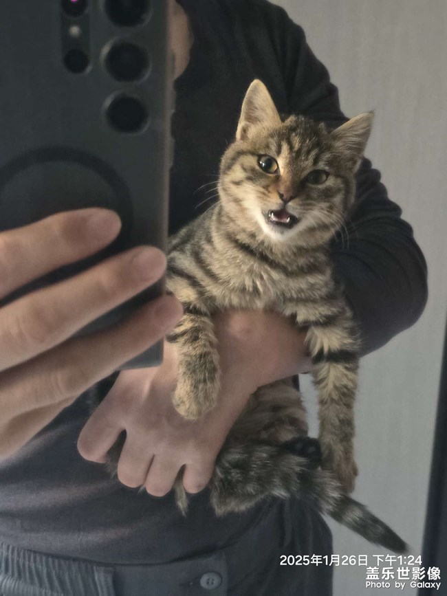 還沒養(yǎng)大就跑了不回來了