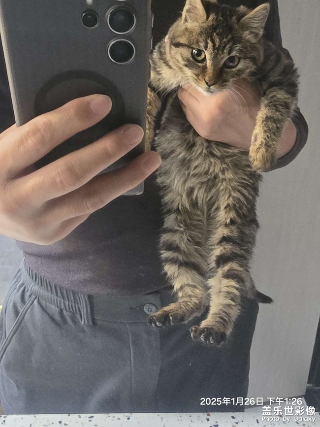 還沒養(yǎng)大就跑了不回來了