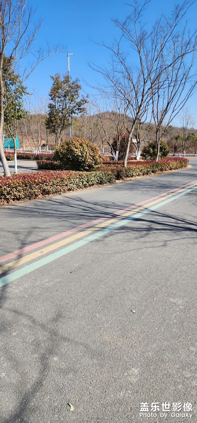 春節(jié)快樂！