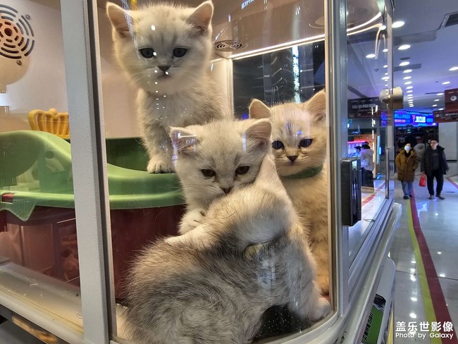 假期結(jié)束了