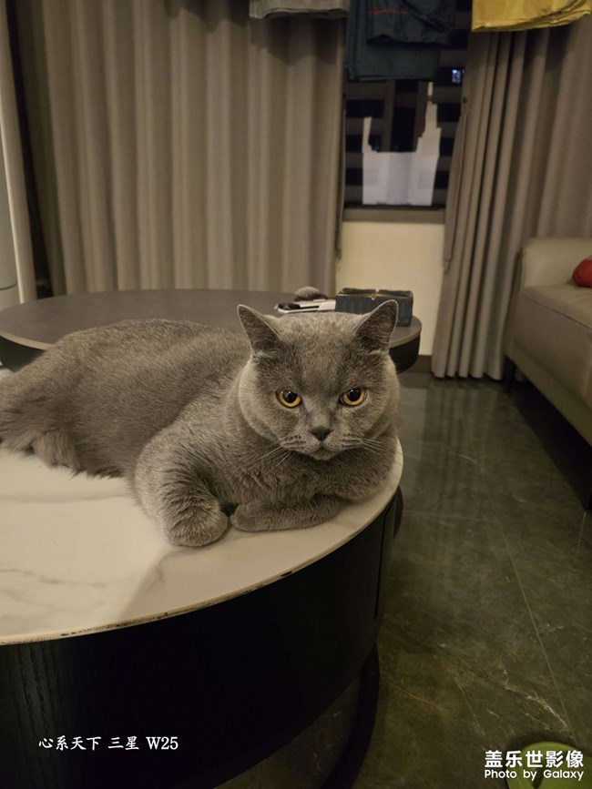 快樂(lè)的小精靈