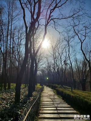 【返程路上】+公園散步