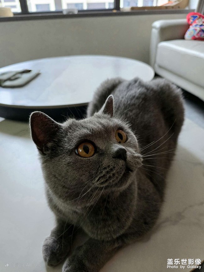 快樂(lè)的小精靈