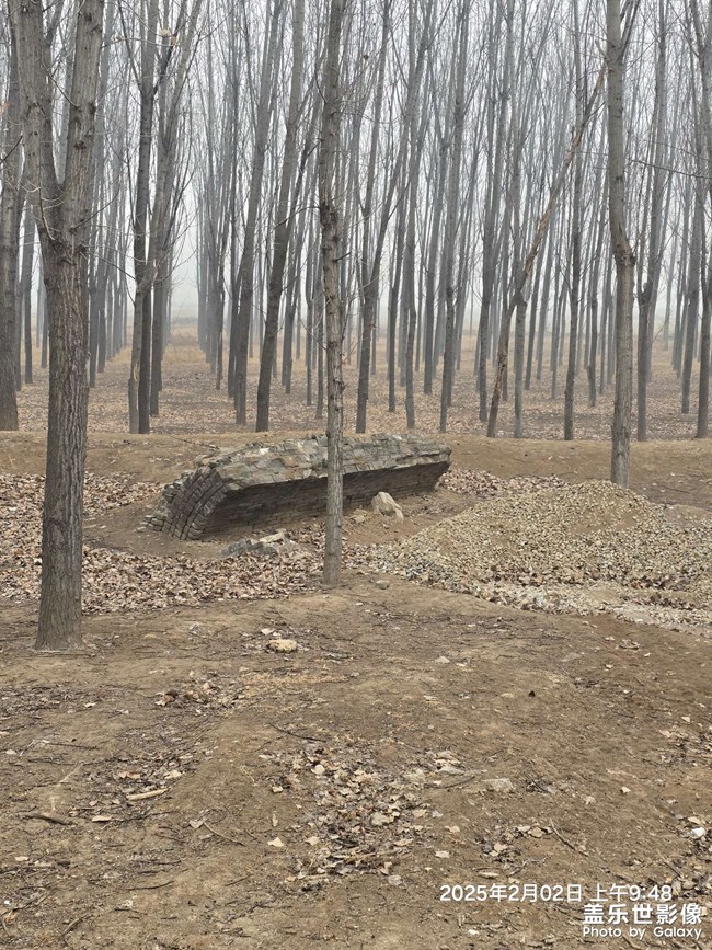 你能看得出這是個(gè)啥嗎？