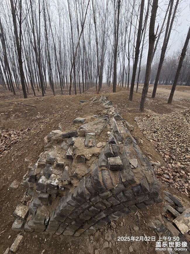 你能看得出這是個(gè)啥嗎？