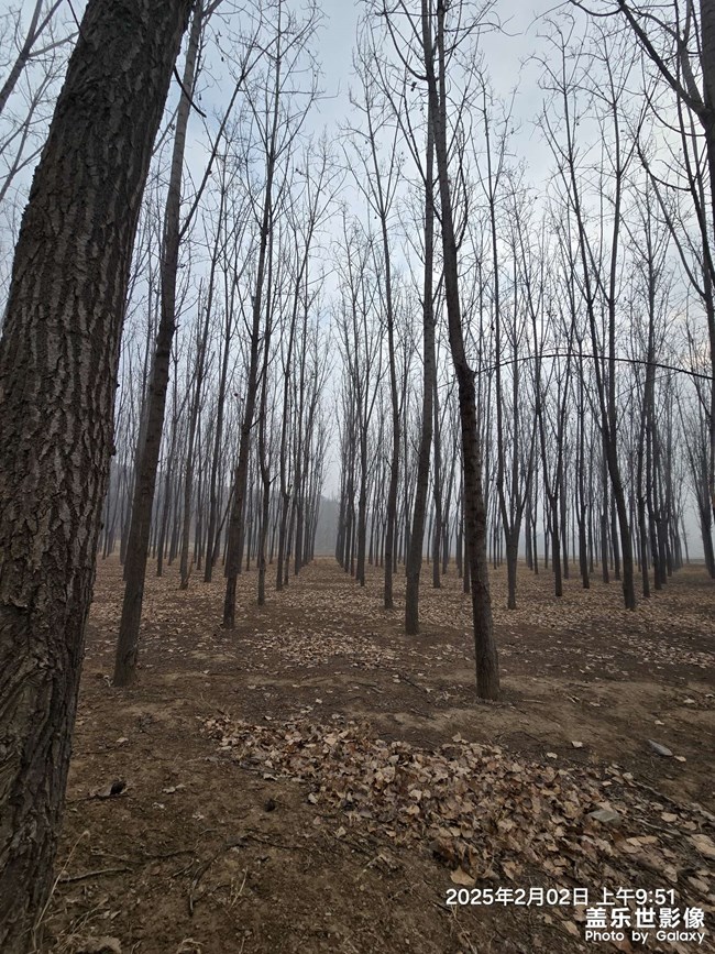 你能看得出這是個(gè)啥嗎？