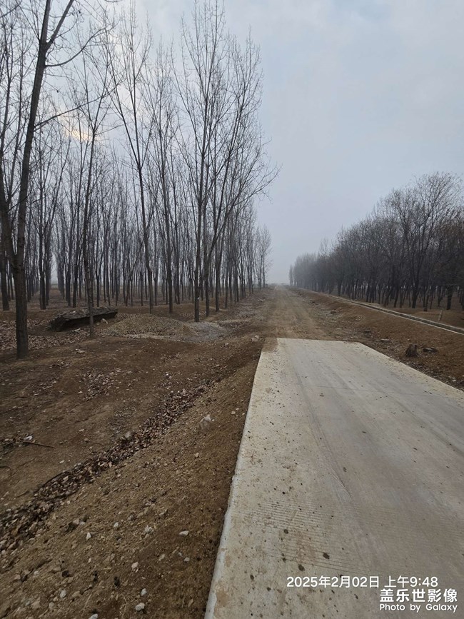 你能看得出這是個(gè)啥嗎？