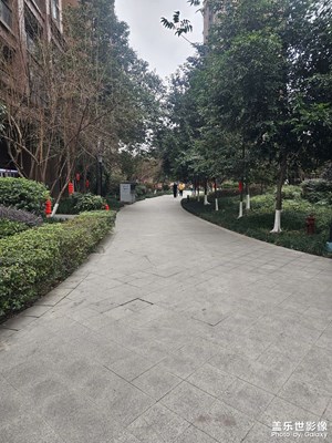 【返程路上】+殘留的年味