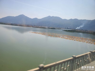 【返程路上】動(dòng)車上的趣事