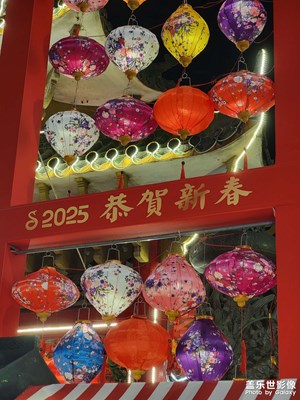 【金蛇轉(zhuǎn)好運(yùn)】+除夕夜漫步