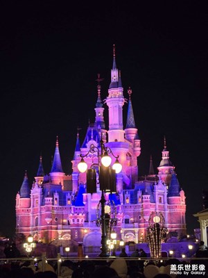 【金蛇轉(zhuǎn)好運】迪士尼