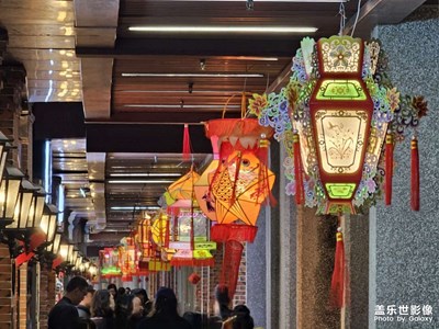 【燈影情長(zhǎng)】燈影刺桐夜