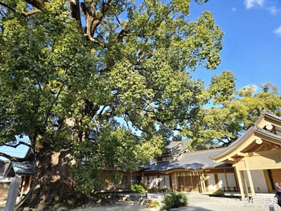 【早春映像】沉睡在冬日的余韻里