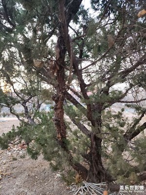 【早春映像】 春天臨近