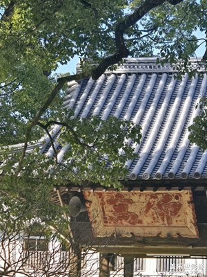 【早春映像】園林之美????