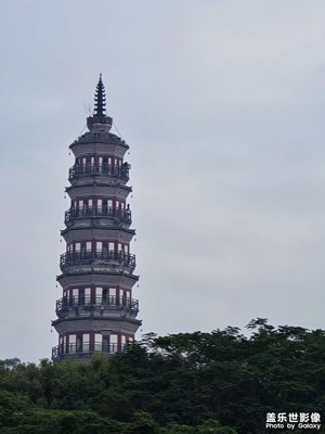 【煦色韶光】+ 春天的順峰山公園