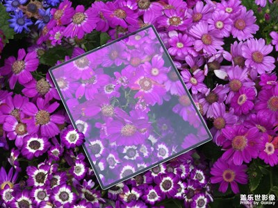 攜Galaxy Z Fold6融入春天里