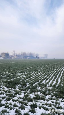 【光耀生活】+田園雪美