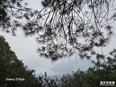 【光耀生活】春光景色