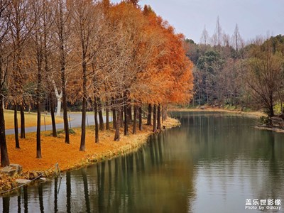已開獎(jiǎng)【蓋樂世影像周賽第387期】——好春光