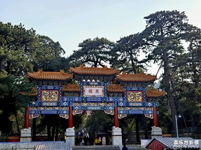 【好春光】+恰是頤和園的限定浪漫??