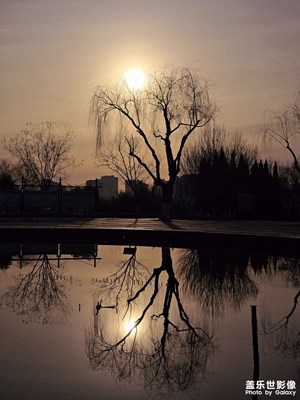 【好春光】+晨跑隨拍