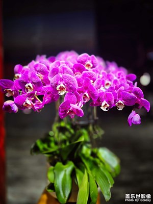 已開獎(jiǎng)【蓋樂世影像周賽第389期】——生機(jī)盎然的世界