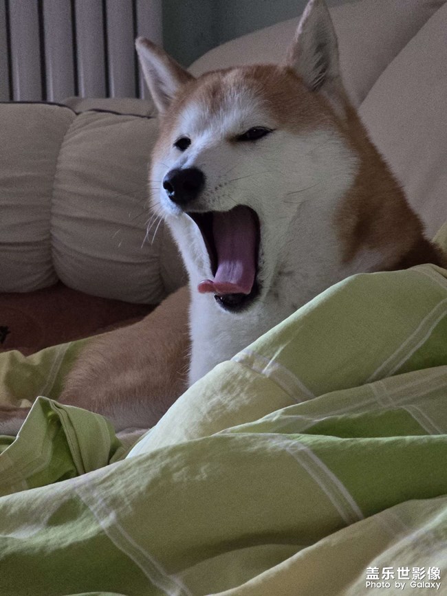 別熬夜了洗洗睡吧