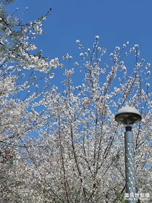 【人間四月天】美景當前