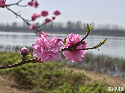 【人間四月天】