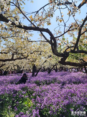 【人間四月天】+梨蘭會