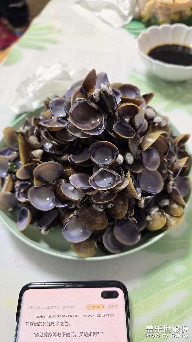 有知道這是什么的小伙伴不
